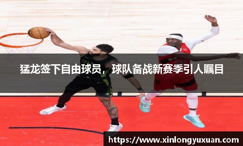 猛龙签下自由球员，球队备战新赛季引人瞩目