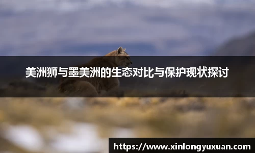 cc网投公司
