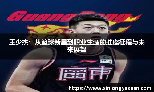 cc网投官网