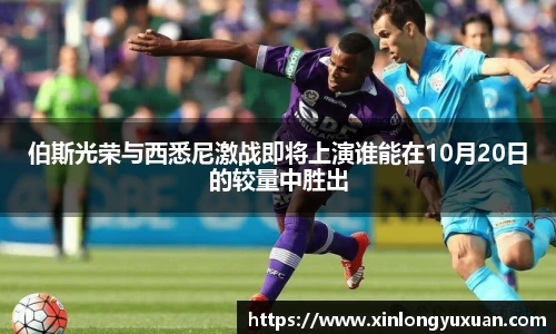 cc网投公司