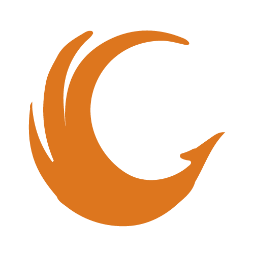 Abstract Partner